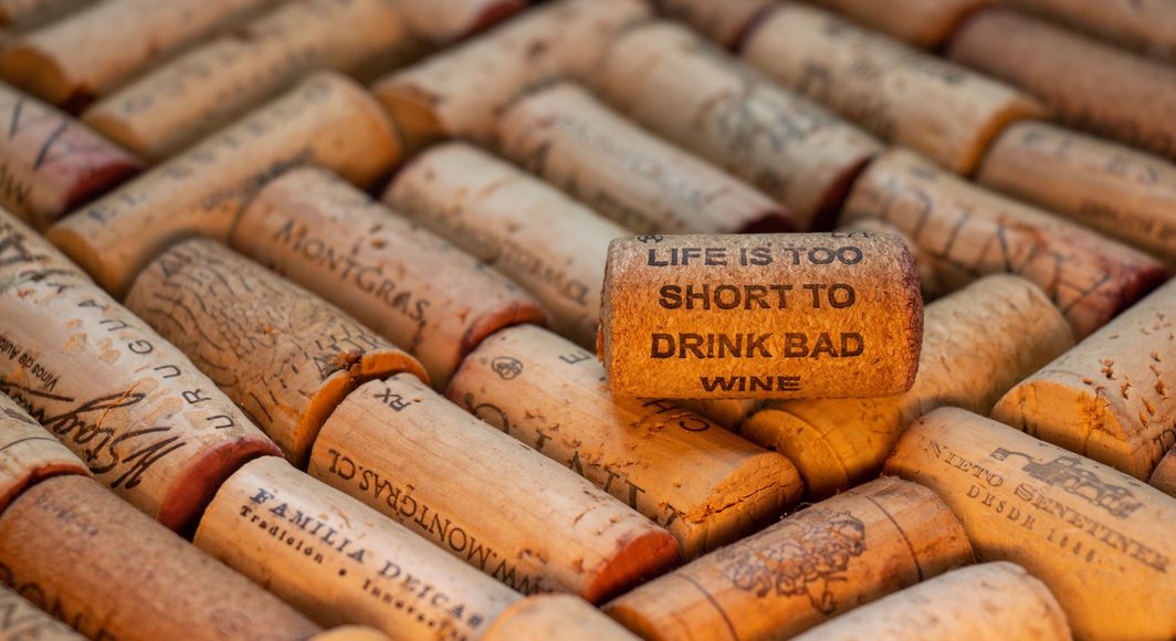 D a v i d s o n l u n a hup BI0 Doj9o unsplash