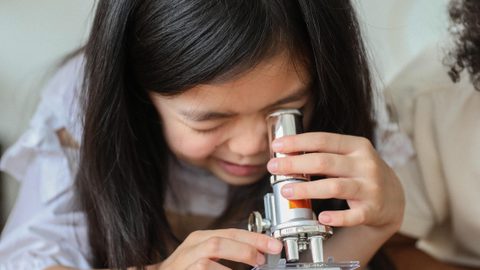 Student in Science Lesson